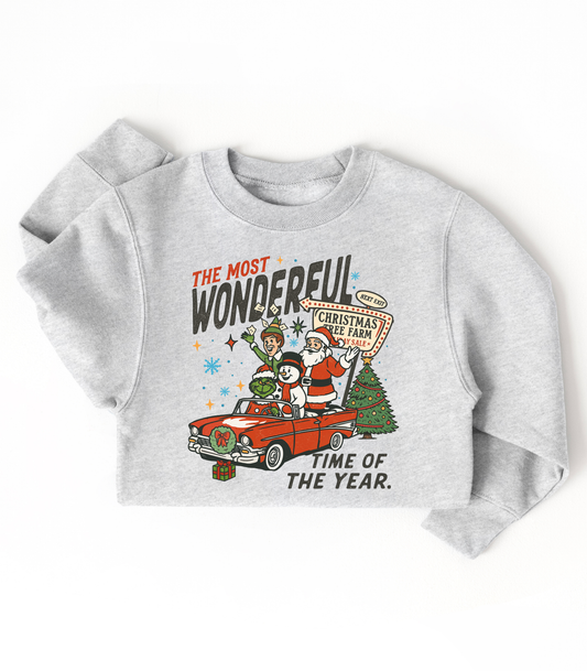 YOUTH MOST WONDERFUL FAVE CHARACTERS - TODDLER & YOUTH SWEATSHIRT OPTIONS