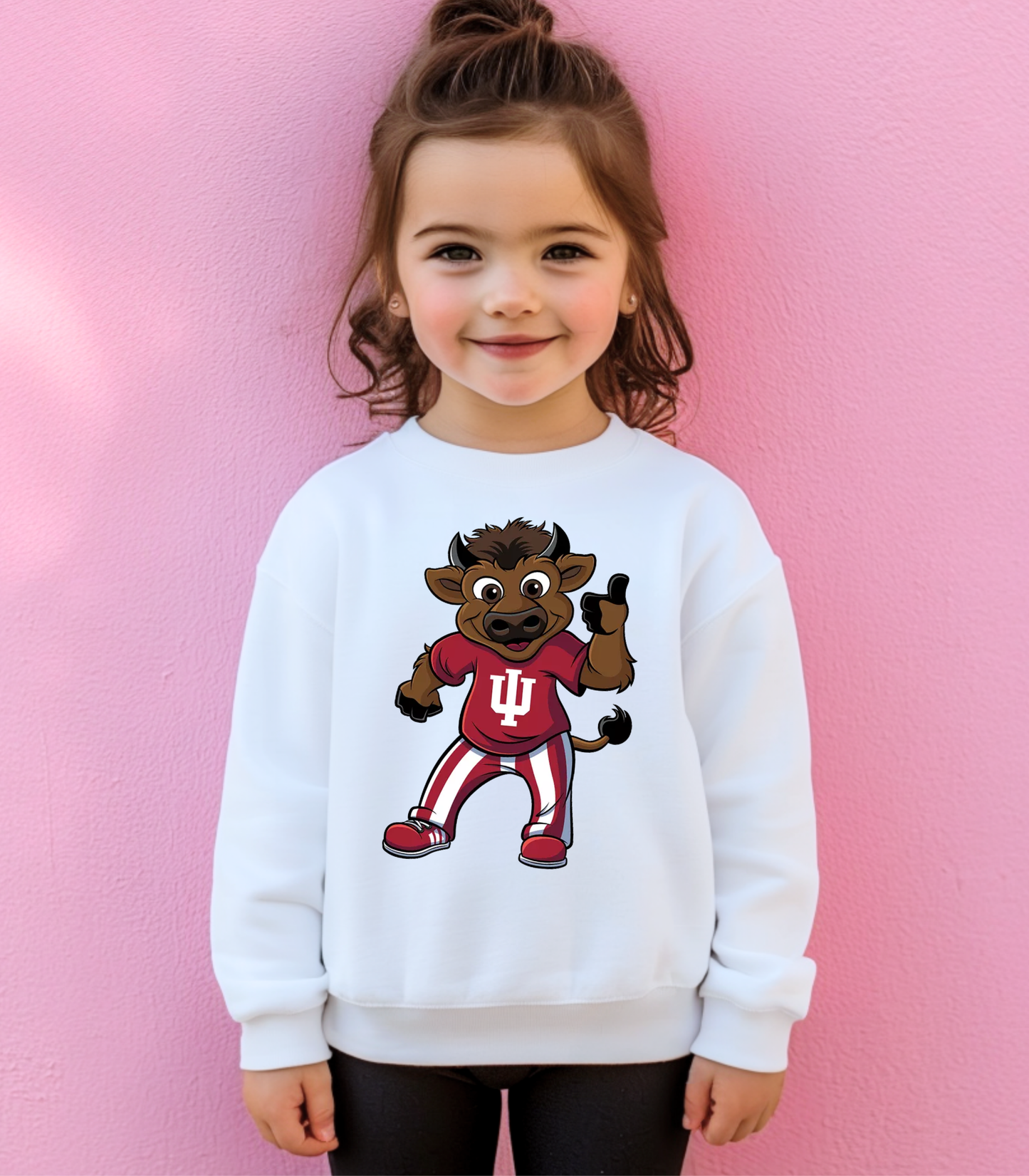 HOOSIER THE BISON - YOUTH SWEATSHIRT + TEES