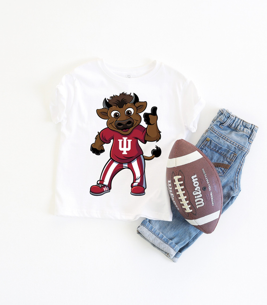 HOOSIER THE BISON - YOUTH SWEATSHIRT + TEES