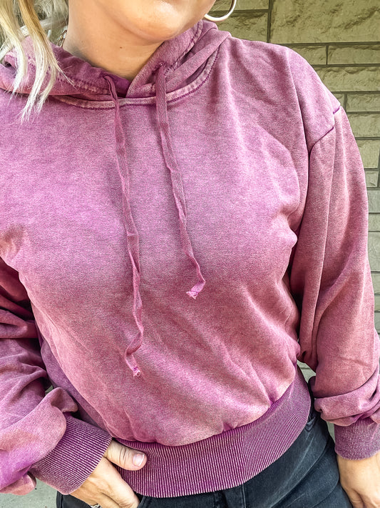 BETTER THAN THIS BERRY CROPPED HOODIE-FINAL SALE